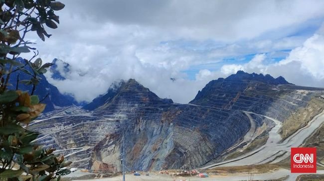 Freeport Gelontorkan Rp3,17 M per Ha Reklamasi Tambang Eks Grasberg