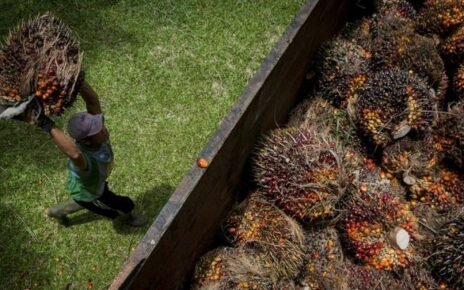 Asosiasi Petani Sawit Binaan Musim Mas Sukses Jual Kredit RSPO Rp20 M