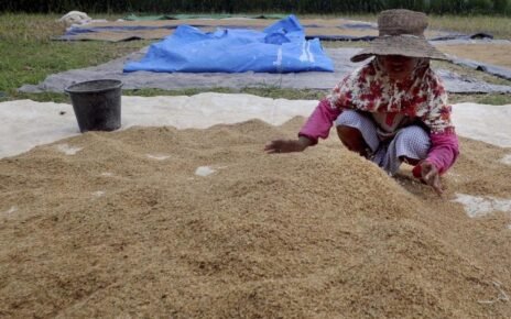 Prabowo Kerek Harga Gabah Jadi Rp6.500 per Kg, Jagung Rp5.500 per Kg