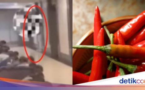 Aneh! Pegawai di Perusahaan Ini Harus Makan Cabai Jika Lakukan Kesalahan