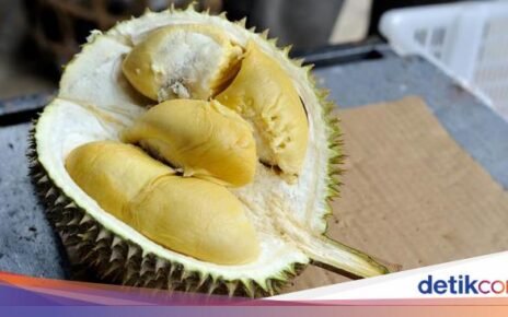 Heboh! Durian Asal China Ternyata Punya Kandungan Nutrisi Berbeda