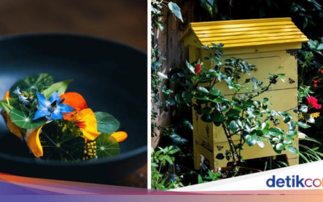 Keren! Salah Satu Resto Terbaik di Dunia Ini Pegawainya Hanya Satu