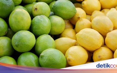 Cara Memanfaatkan Jeruk Lemon dan Nipis yang Berkhasiat untuk Kesehatan