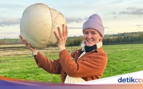 Wouw! Jamur Raksasa Ini Bisa Dimakan Satu Keluarga Selama Seminggu