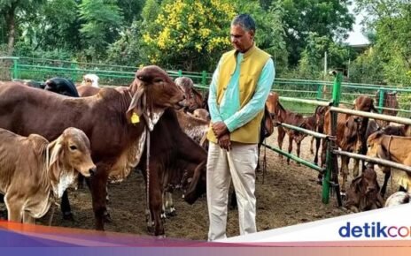 Keren! Petani Ini Cuan Rp 952 Juta Berkat Sistem Pertanian Inovatif