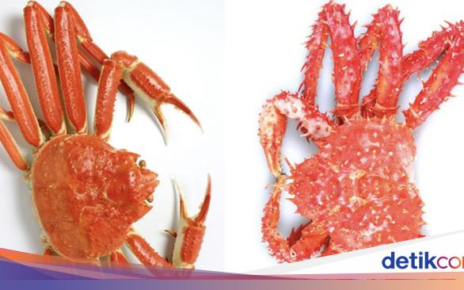 Apa Itu Snow Crab dan King Crab yang Akan Kena PPN 12%?