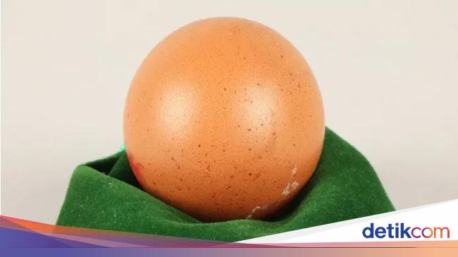 Wow! Sebutir Telur Bulat Sempurna Ini Terjual Rp 4,1 Juta