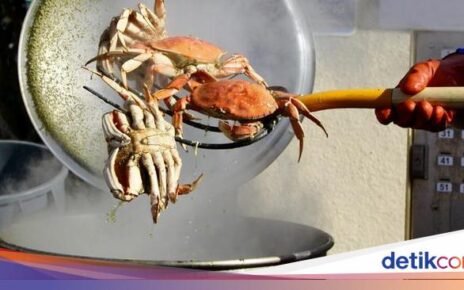 Ternyata Kepiting Bisa Rasakan Sakit ketika Direbus Hidup-hidup