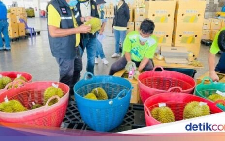 100 Kontainer Durian Thailand Ditolak Karena Mengandung Pewarna Kimia