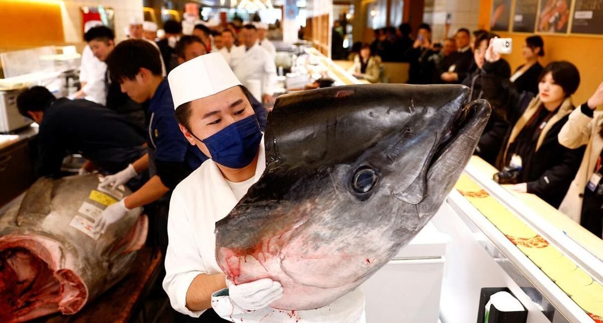 Seekor Ikan Tuna Seberat 276 Kg Laku Rp20 M dalam Lelang di Tokyo