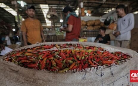 Makin 'Pedas', Harga Cabai Rawit Merah Setara Daging Sapi