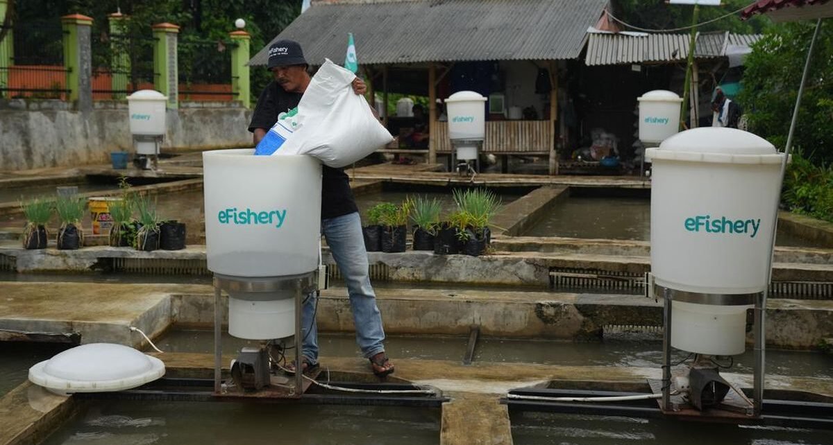 Modus Dugaan Penggelapan Rp9,7 T yang Dilakukan Manajemen eFishery