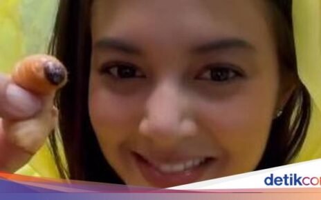 Petualangan Aurelie Moeremans Panen Kopi hingga Makan Ulat Sagu