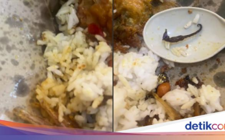 Beli Nasi Ikan Teri, Pelanggan Ini Dapat Bonus Lauk Kuda Laut