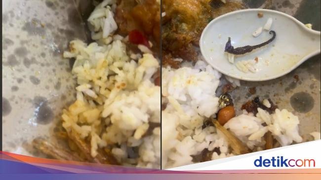 Beli Nasi Ikan Teri, Pelanggan Ini Dapat Bonus Lauk Kuda Laut