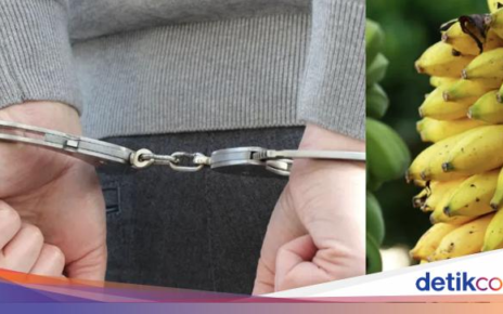 Duh! Ayah 3 Anak Ini Ketahuan Curi Pisang dan Dipenjara 3 Bulan