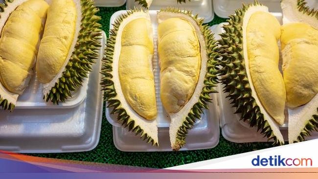 Selain Monthong, Ini 4 Jenis Durian Thailand yang Istimewa