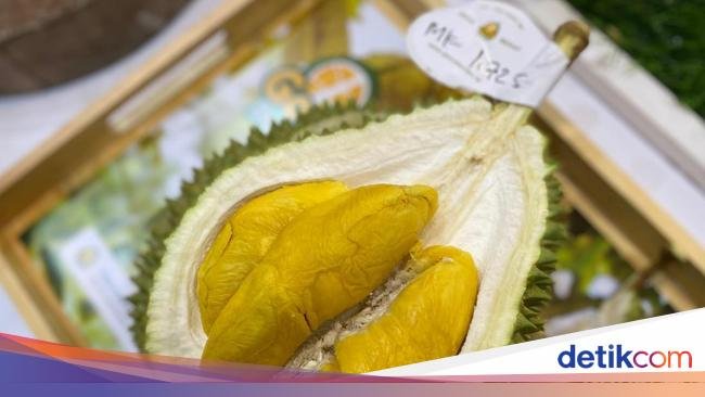 Dijamin Tebal dan Manis! Ini 5 Tips Jitu Pilih Durian