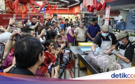 Gokil! Ikan Kerapu Seberat 128 Kg Ludes Terjual Kurang dari 20 Menit