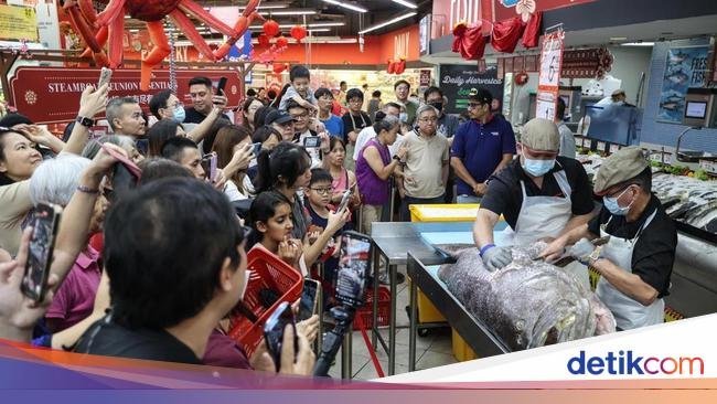 Gokil! Ikan Kerapu Seberat 128 Kg Ludes Terjual Kurang dari 20 Menit