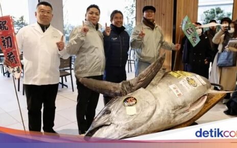 Gokil! Ikan Tuna Sebesar Sepeda Motor Terjual Rp 21 Miliar