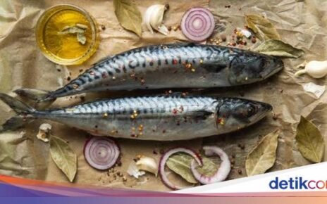 5 Jenis Ikan yang Banyak Nutrisi tapi Harganya Murah