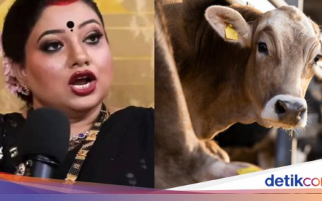 Wanita Ini Minum Urin Sapi Selama 45 hari Demi Tebus Dosa