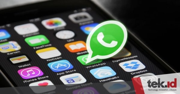 Musik di WhatsApp status, fitur baru yang dinantikan