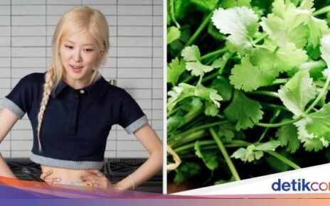 Rose BLACKPINK Ingin Punya Kebun Daun Ketumbar Usai Pensiun Nyanyi