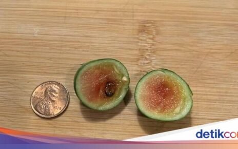 10 Potret Sayur dan Buah Gagal Tanam yang Viral di Media Sosial