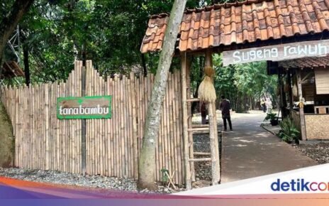 Joglo Asli Sragen di Lahan Bambu Ciangsana Jadi Daya Tarik Tanabambu