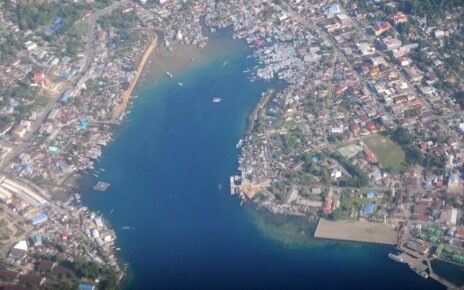 Pertumbuhan Ekonomi Maluku-Papua Tertinggi di RI, Ini Pemicunya