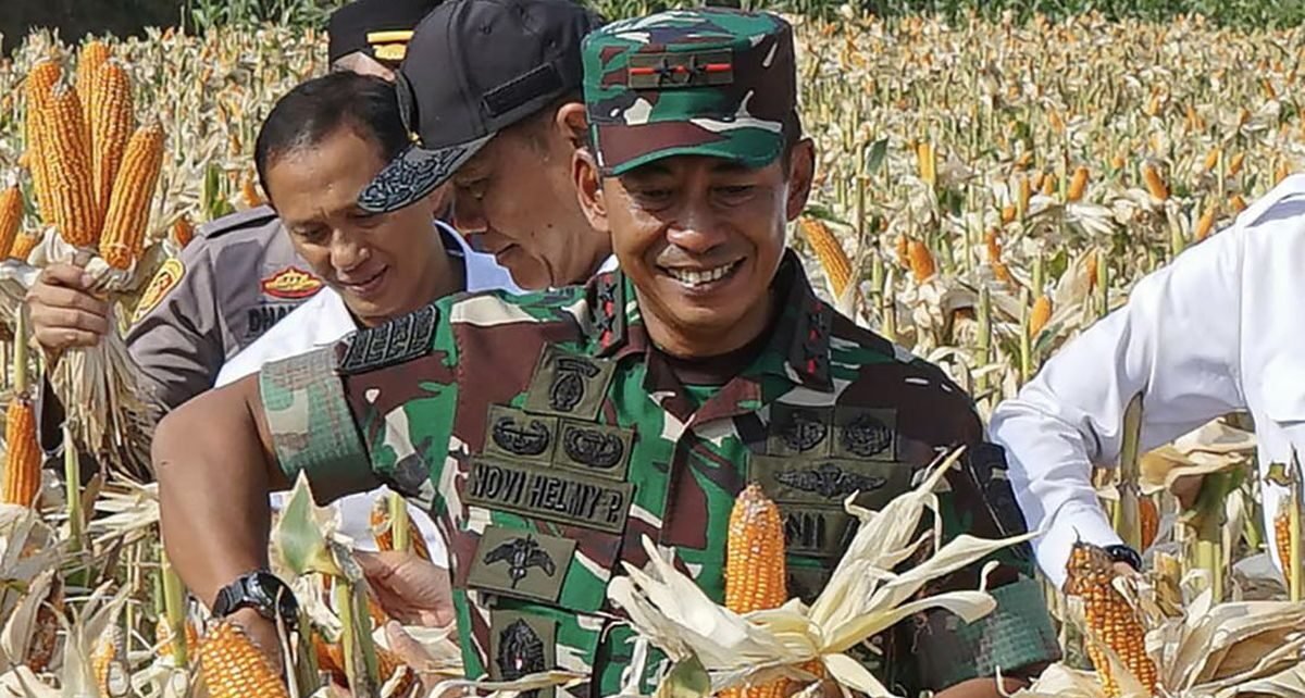 Bulog Janji Tuntaskan Perintah Serap 3 Juta Ton Gabah hingga April