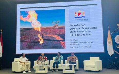 Saleh Husin Ungkap 4 Ganjalan Industri Hilirisasi Gas RI