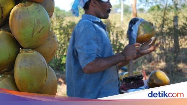 Beli Air Kelapa di Pinggir Jalan, Wanita Ini Justru Dapat Wejangan Hidup