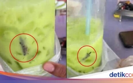 Beli Minuman Green Tea, Pelanggan Ini Dapet 'Bonus' Belalang