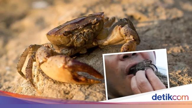 Bocah Ini Dirawat Usai Terjangkit Parasit Gegara Makan Kepiting Mentah