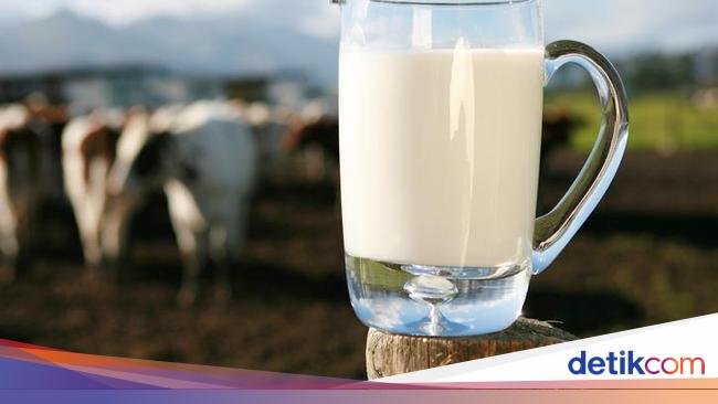 Ternyata Ini Jenis Susu dengan Kandungan Protein Tertinggi