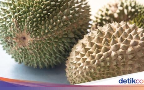 Ini Durian Black Thorn, Varietas Lebih Mahal dari Musang King!