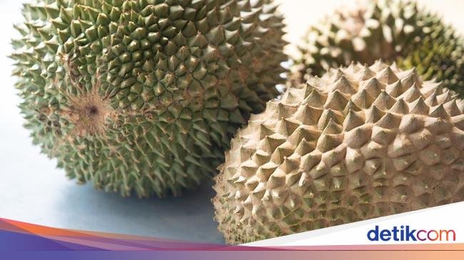 Ini Durian Black Thorn, Varietas Lebih Mahal dari Musang King!