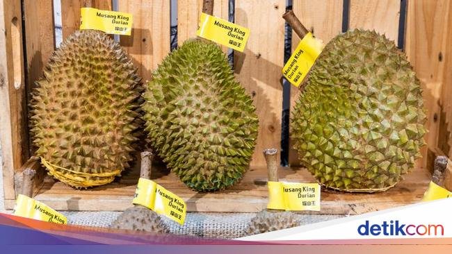 Mengenal Keistimewaan Durian Musang King, Raja Buah dari Negeri Jiran