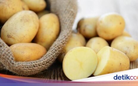 5 Cara Menyimpan Kentang Agar Tetap Segar, Bisa Tanpa Kulkas!