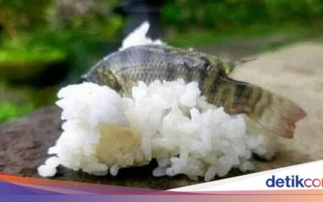 Kocak! 10 Kreasi Makanan Jepang apa Lokal yang Bikin Ngakak