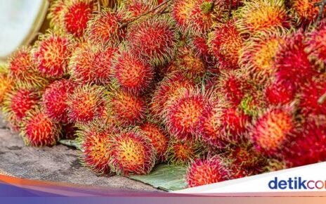 Sedang Musim Rambutan, Ini 5 Manfaat Sehat Konsumsi Rambutan