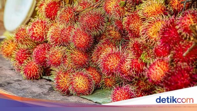 Sedang Musim Rambutan, Ini 5 Manfaat Sehat Konsumsi Rambutan