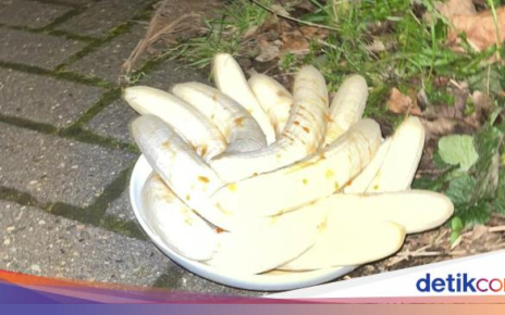 Misterius! Piring Isi Tumpukan Pisang Kupas Selalu Muncul di Jalan Ini