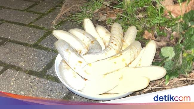 Misterius! Piring Isi Tumpukan Pisang Kupas Selalu Muncul di Jalan Ini