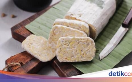 Cara Simpan Tempe Agar Awet Segar Untuk Stok Makanan Ramadan