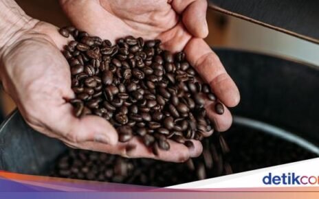 Mengenal 6 Varietas Kopi Populer, Ada Typica hingga Catuai