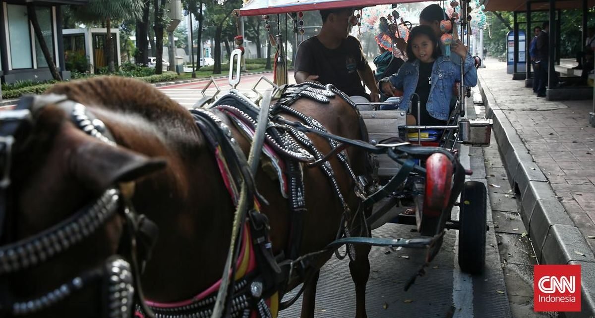 Menhub Sebut Pemda Jabar Usul Delman, Becak Cs Dilarang Saat Lebaran